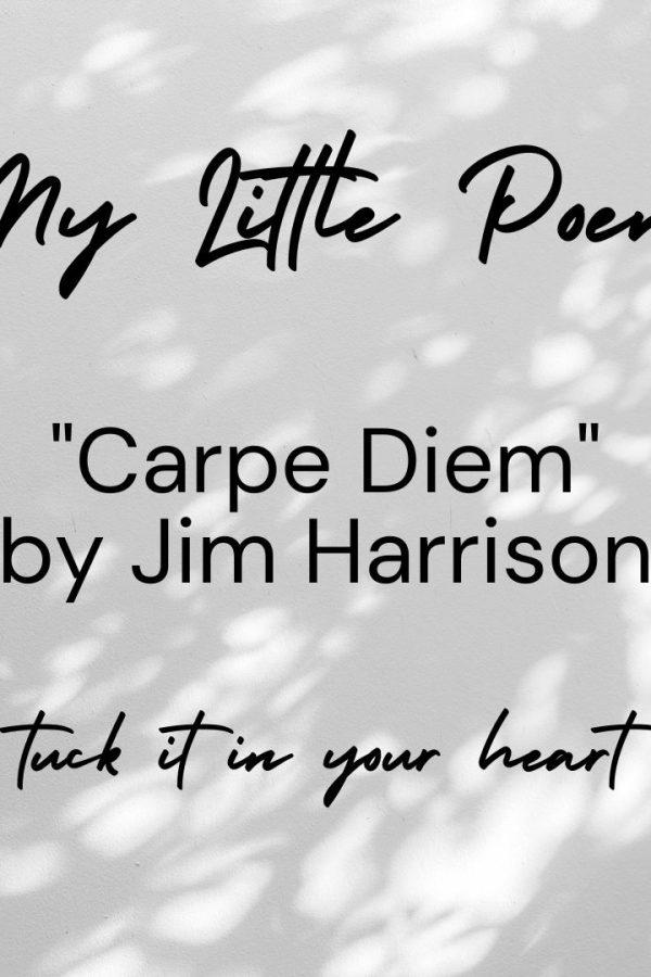 Jim Harrison Carpe Diem poem sunlight on gray